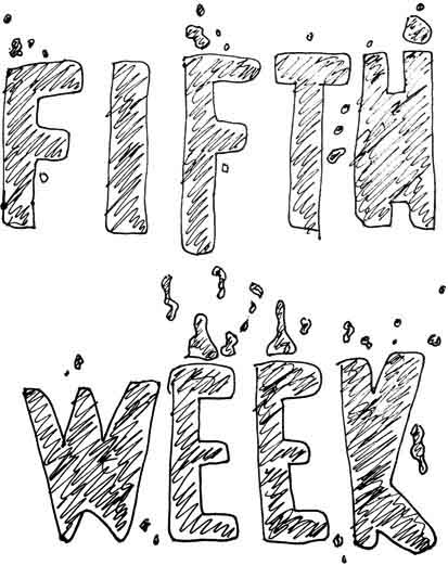 Fifth Week